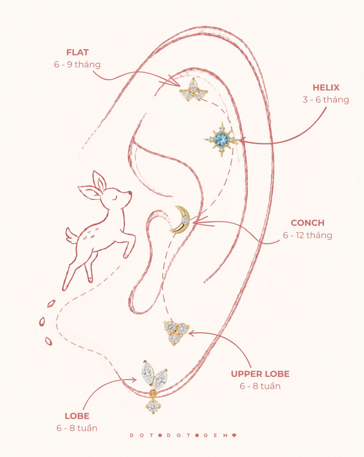 Golden Ear Map: Gợi ý 5 "tọa độ" trên vành tai, bí quyết đu trend mini stud chuẩn gu