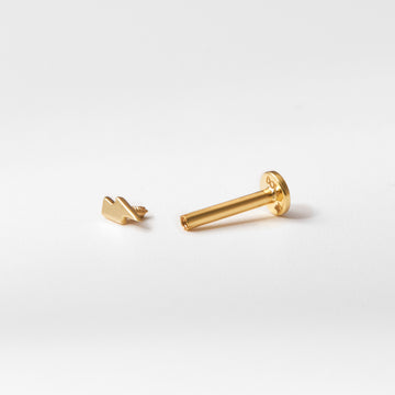 Khuyên xỏ Lighting (Chiếc)