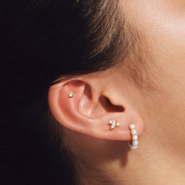 Khuyên Pearlfect Garden Pearlfect Hoop (Chiếc)